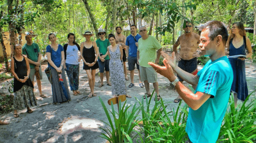 Ayahuasca Retreat