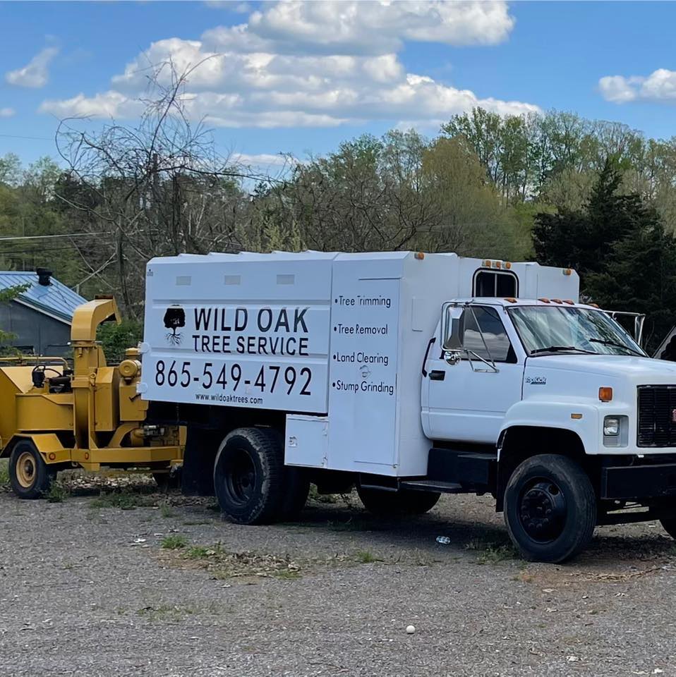 tree service company San Antonio TX