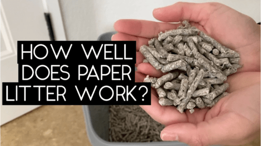 How to make paper pellets at home