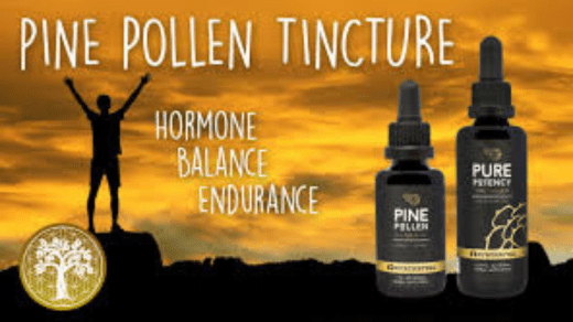 How to make pine pollen tincture