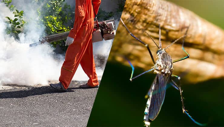 Mosquito Control Yorkville IL