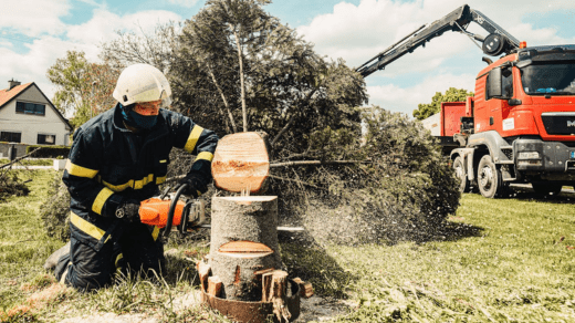Tree Cutting