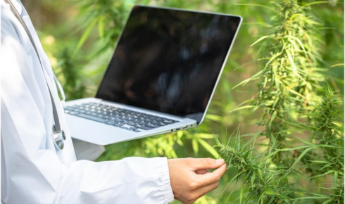 Online Medical Marijuana Card