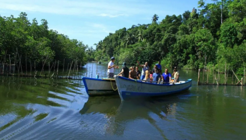 sundarban tour package